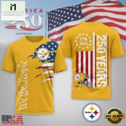 Pittsburgh Steelers NFL We The People USA 250th Anniversary All Over Print Shirt
