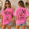 Indiana Hoosiers 2026 NCAA Pink October Breast Cancer Awareness Fan Pride Unisex T Shirt , NCAA College 3D Shirt 3 Indiana Hoosiers 2026 NCAA Pink October Breast Cancer Awareness Fan Pride Unisex T Shirt , NCAA College 3D Shirt Indiana Hoosiers 2026 Ncaa Pink October Breast Cancer Awareness Fan Pride Unisex T Shirt