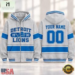 Detroit Lions NFL Varsity Stripe Zip Hoodie, NFL Sporty Shirt Detroit Lions Nfl Varsity Stripe Zip Hoodie