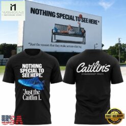 Indiana Fever Caitlin Clark Nothing Special To See Here 2026 T Shirt, Hot 3D Shirt Trend Indiana Fever Caitlin Clark Nothing Special TO See Here 2026 T Shirt